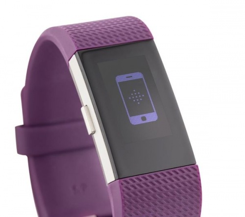 Grade2B - FITBIT Charge 2 Small - Plum